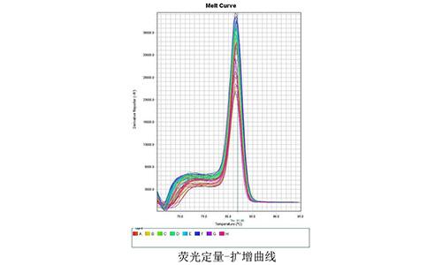 03 荧光定量-扩增曲线